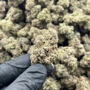 Black Jack THCa Flower Indica