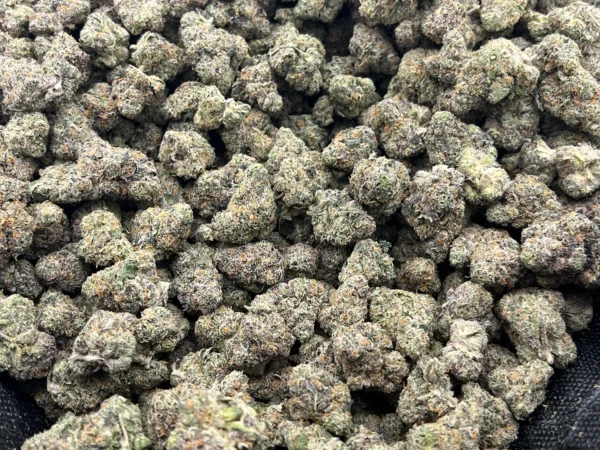 Gorilla Grip – Indica Strain – Wholesale THCa Flower - 34.35% – Private Reserve @ FrostyClub.com