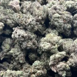 Halle Berry Runtz - THCa Flower - Hybrid Strain - 33.46% - Private Reserve