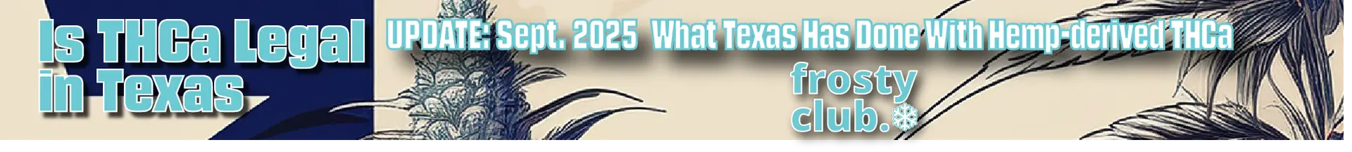 Is THCa Legal in Texas: September 2025: What Texas Has Done With Hemp-derived THC BLOG @ FrostyClub.com - Wholesale THCa Pros Who Know Fast Shipping!