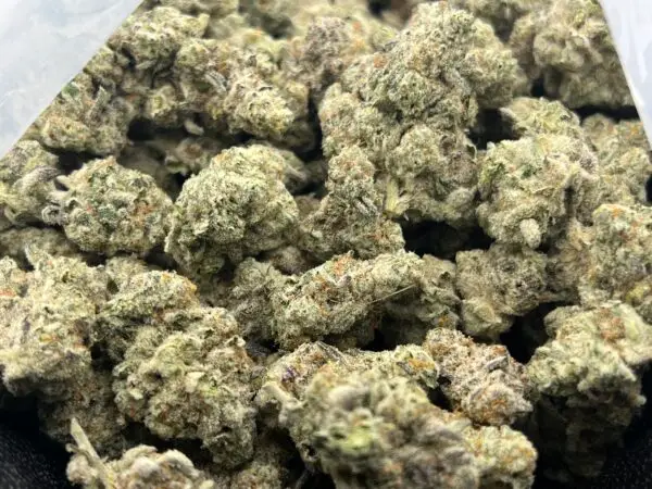 Lechron James — Hybrid Strain — THCa Flower — 35.85% — Caviar Grade