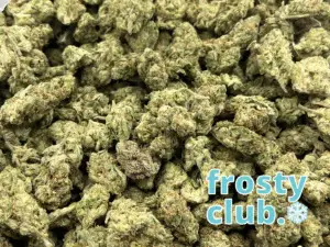 Big, beautiful buds by the pound- Lemon Vuitton — Sativa Strain — Exotic THCa Flower — 32.61% @ FrostyClub.com - Wholesale Pros w/ Fast Shipping!