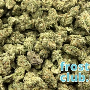 Big, beautiful buds by the pound- Lemon Vuitton — Sativa Strain — Exotic THCa Flower — 32.61% @ FrostyClub.com - Wholesale Pros w/ Fast Shipping!