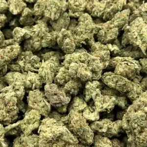 Big, beautiful buds by the pound- Lemon Vuitton — Sativa Strain — Exotic THCa Flower — 32.61% @ FrostyClub.com - Wholesale Pros w/ Fast Shipping!