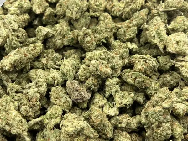 Big, beautiful buds by the pound- Lemon Vuitton — Sativa Strain — Exotic THCa Flower — 32.61% @ FrostyClub.com - Wholesale Pros w/ Fast Shipping!