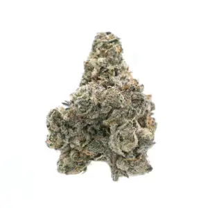 Love Potion THCa Flower Sativa