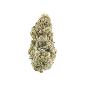 Orange Creamsicle — Sativa Strain — THCa Flower — 32.51% — Light Dep