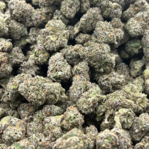 Orange Slushie THCa Flower Indica