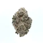 Pre-64 Runtz – Indica Strain – THCa Flower – 35.84% – Caviar Grade