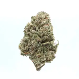Prohibition Kush THCa Flower Indica