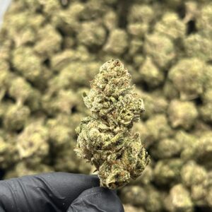 Prohibition Kush THCa Flower Indica