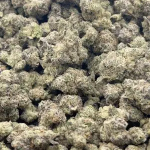 Prohibition Runtz – Indica Strain – THCa Flower – 37.95% – Private Reserve BULK