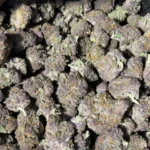 Trop Cherry – Sativa Strain – Exotic THCa Flower – 28.74%