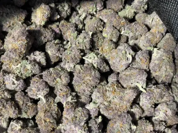 Trop Cherry – Sativa Strain – Exotic THCa Flower – 28.74% 01 Trop Cherry – Sativa Strain – Exotic THCa Flower – 28.74%
