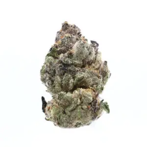 Tropical Bubbles – Hybrid Strain – THCa Flower – 37.88% – Private Reserve