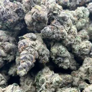 Tropical Bubbles – Hybrid Strain – THCa Flower – 37.88% – Private Reserve
