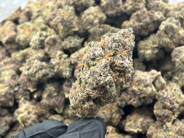 Zookies – Wholesale THCa Flower Hybrid Strain – 34.54% – Private Reserve @ FrostyClub.com - Fast Shipping!