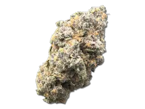 Zookies – Wholesale THCa Flower Hybrid Strain – 34.54% – Private Reserve @ FrostyClub.com - Fast Shipping!