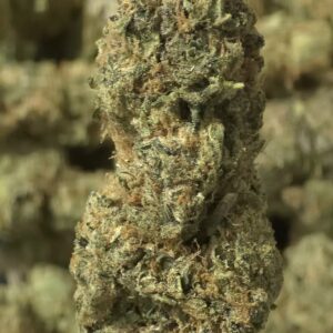 Cherry Cheesecake THCa Flower Indica