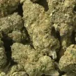 Cherry Cheesecake THCa Flower Indica