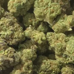 Crooked Cookies THCa Flower