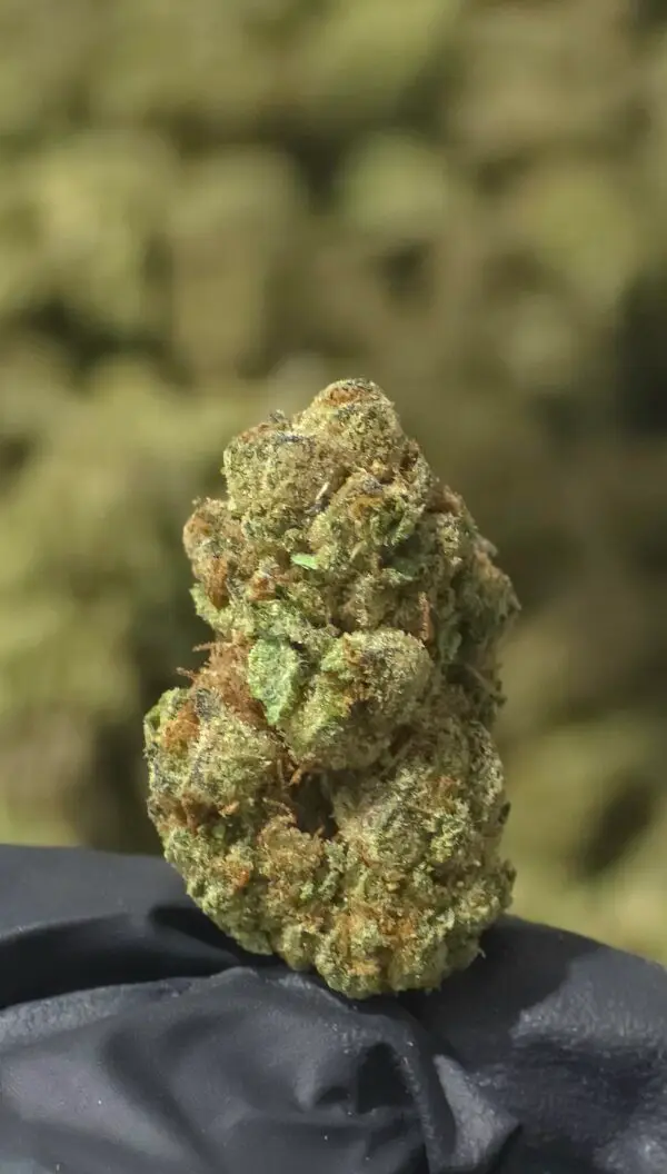 Crooked Cookies THCa Flower Crooked Cookies THCa Flower