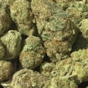 F1 THCa Flower Sativa