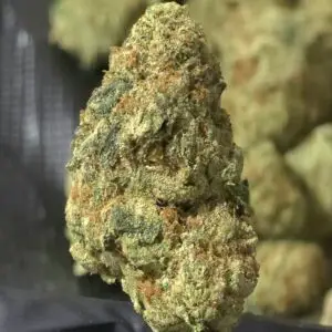 F1 THCa Flower Sativa