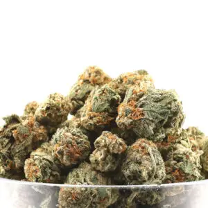 Florida Sunset THCa Flower Hybrid