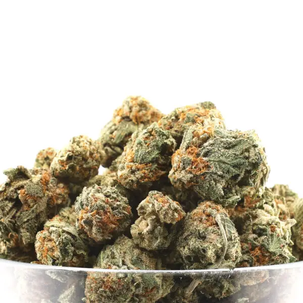 Florida Sunset THCa Flower Hybrid