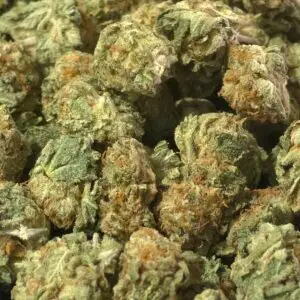 Florida Sunset (MED) THCa Flower — Hybrid — 30.05% — Exotic - Image 2