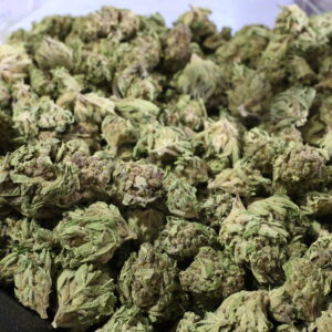 Grape Octane THCa Flower Indica