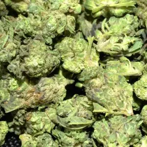 Log Cabin THCa Flower