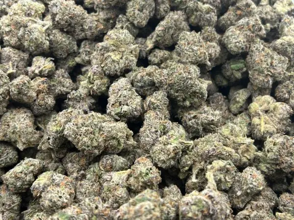 Orange Slushie Smalls THCa Flower Indica