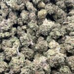 Pink Drink THCa Flower Hybrid