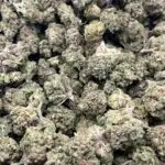 Pink Drink THCa Flower Hybrid