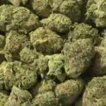 Smarties Smalls THCa Flower Indica