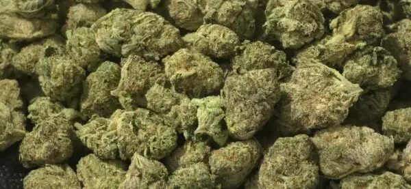 Smarties Smalls THCa Flower Indica