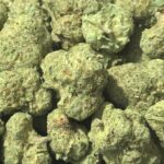 Strawberry Fritter THCa Flower Hybrid