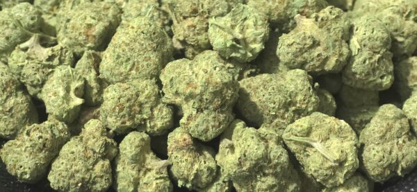 Strawberry Fritter THCa Flower Hybrid