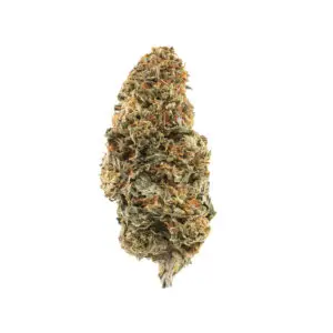 Alabama Slamma THCa Flower Sativa