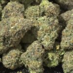 Blue Zushi THCa Flower — Indica — 36.90% — Private Reserve - Image 3