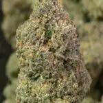 Blue Zushi THCa Flower — Indica — 36.90% — Private Reserve - Image 2