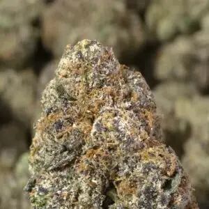 Brain Damage THCa Flower — Indica — 37.62% — Private Reserve - Image 3