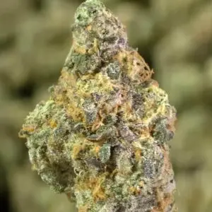 Gorilla Cookies THCa Flower — Sativa — 31.01% — Private Reserve - Image 3