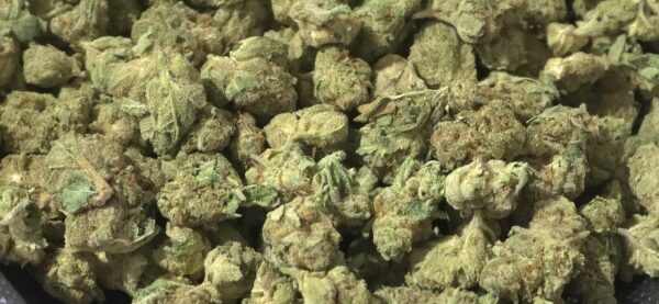 Mochi Smalls THCa Flower Indica