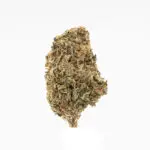 Purple Gumbo THCa Flower