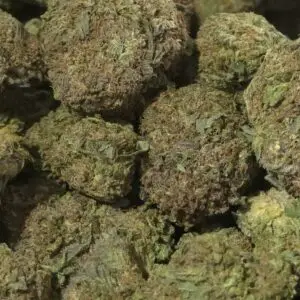 Willy’s Wonder THCa Flower — Indica — 30.86% — Light Dep - Image 3