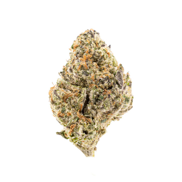 Purple Pancakes EX (1)