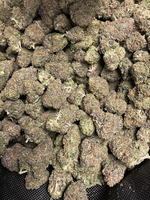 Blue Cookies THCa Flower Indica